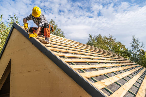 Best Roof Maintenance Services  in Bloomfield, IA