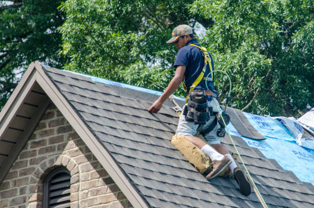 Best Storm Damage Roof Repair  in Bloomfield, IA